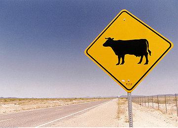 《最终幻想16》制作人：故事和英配已完成 将不参加TGS